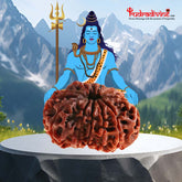 11 Faced / Mukhi Nepali Rudraksha Beads collector